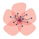American Blossom Linens