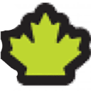 Pure Canadian Honey