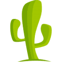 CactusVPN