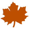 Clark's Maple