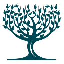 Fever-Tree