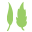 Frontier Co-op