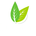 Guayusa Co