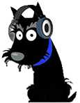 High Tech Pet