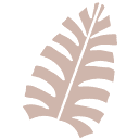 Maui Moisture