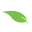 My Green Fills