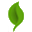 Nature’s Miracle