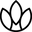NutraChamps