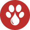 Paw CBD