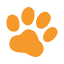 PitPat