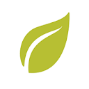 Organic Greens (Daily Detox Plus)