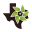 Texas SuperFood