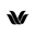 Wacoal