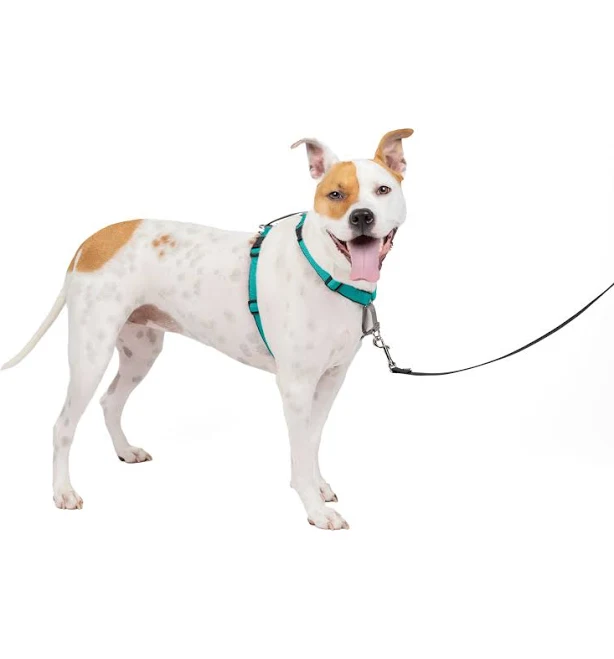 PetSafe