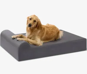 7-Inch Pillow Top Orthopedic Dog Bed