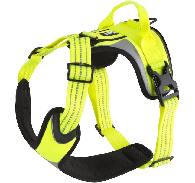 Active Harness