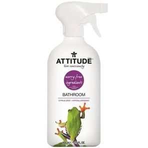 Attitude