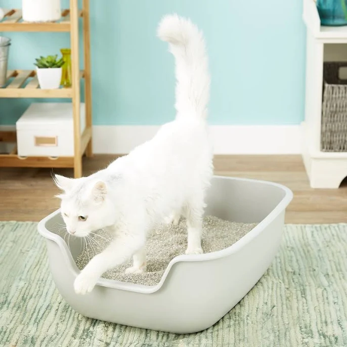 PetFusion