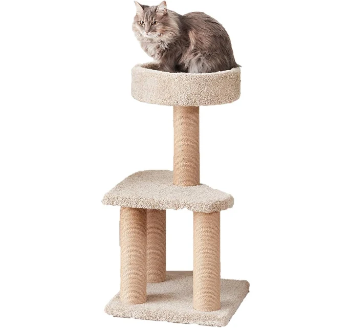 AmazonBasics