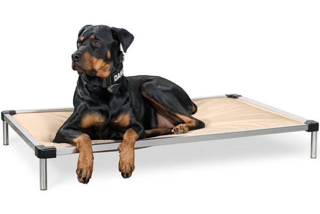 Chew Proof Elevated Dog Bed