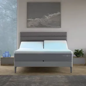 ClimateCool Smart Bed