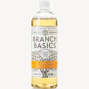 Branch Basics