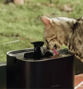 Dockstream Battery-Operated Water Fountain