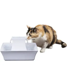 PetSafe