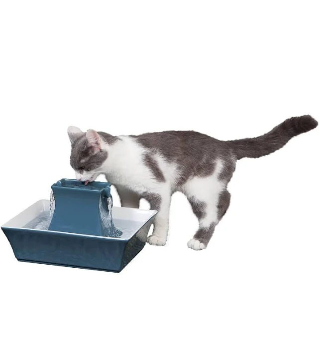 PetSafe