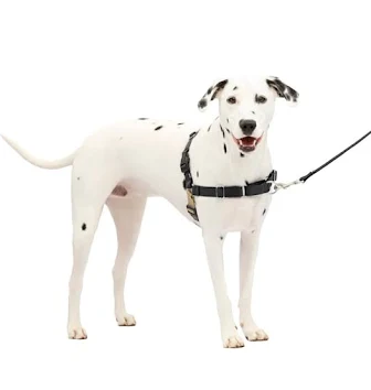 PetSafe