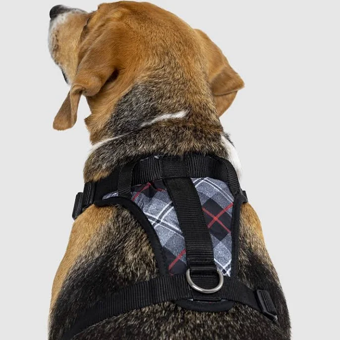 Canada Pooch