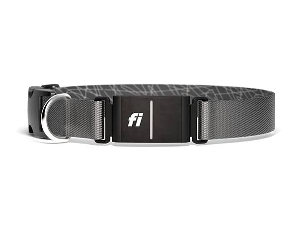 Fi