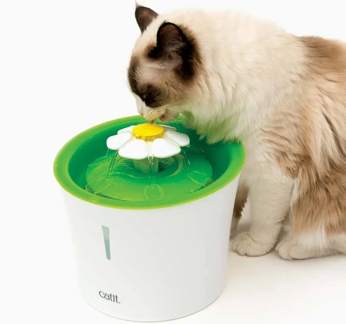 Catit