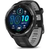Garmin