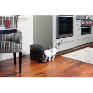 PetSafe