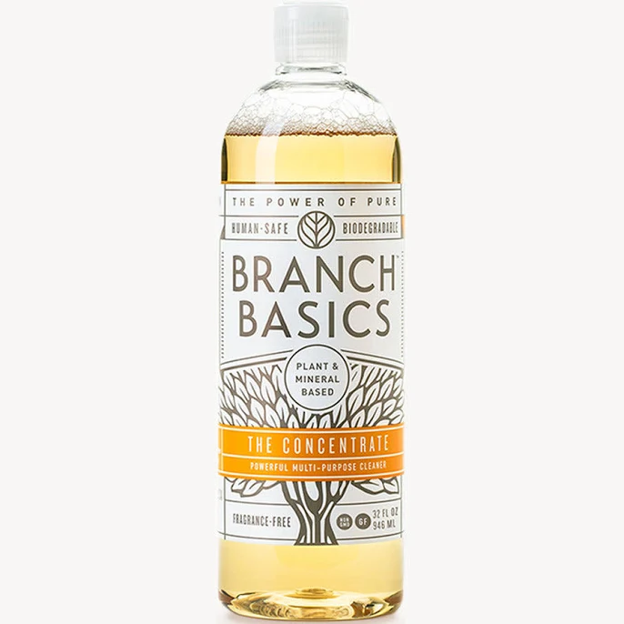 Branch Basics