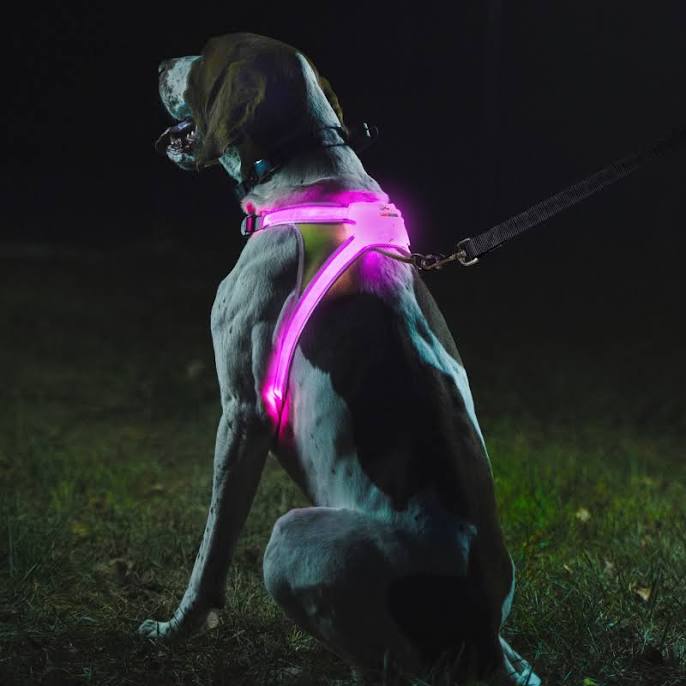 LightHound Harness