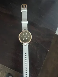 Garmin