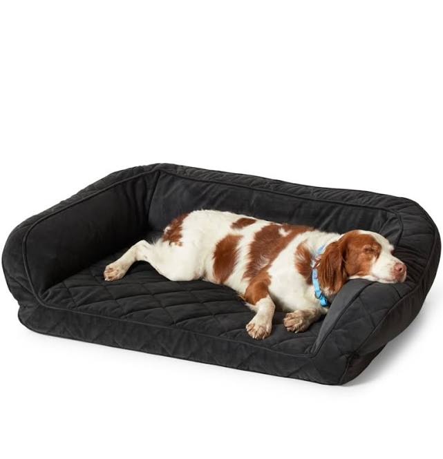 Orvis