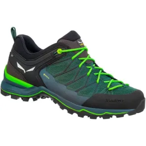 Salewa