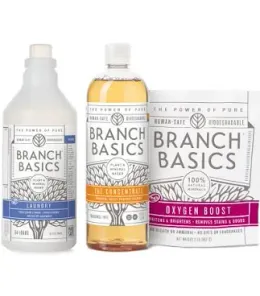 Branch Basics