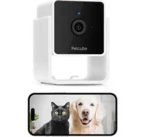 Petcube Cam 2
