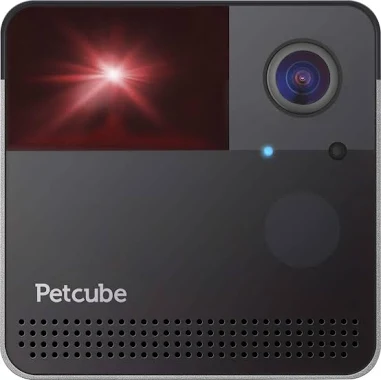 Petcube