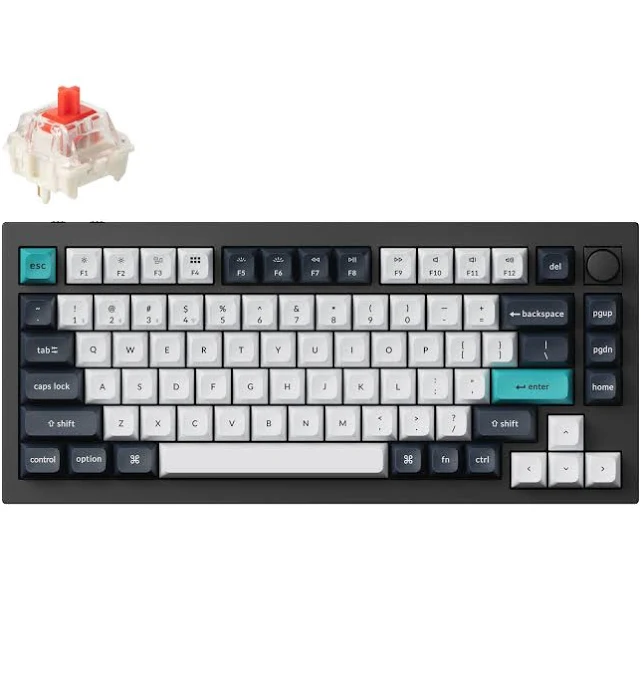 Q1 Max