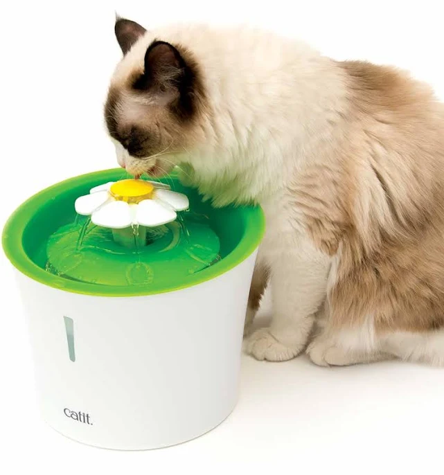 Catit