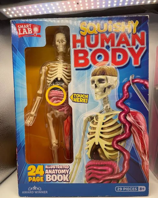 SmartLab Toys Squishy Human Body
