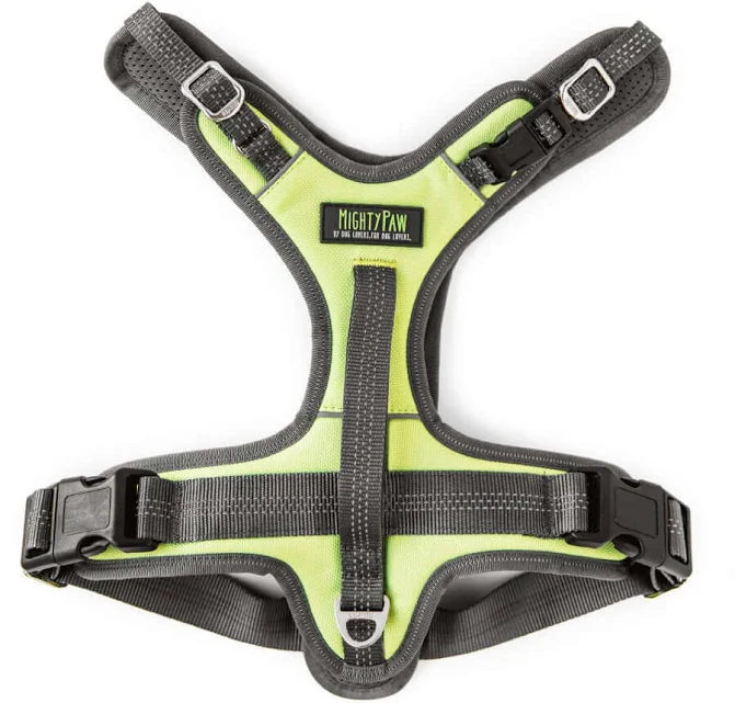 Sport Harness 2.0