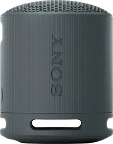 SRS-XB100