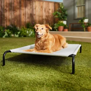 Steel-Framed Elevated Dog Bed