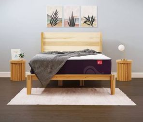 The Big Fig Mattress
